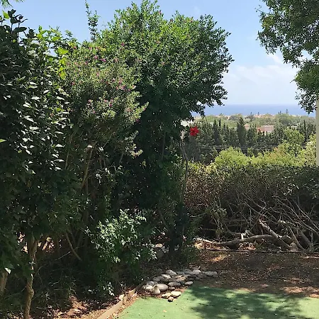 T Gardens Seaview Klorakas